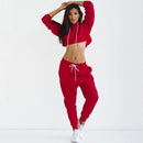 Women Sexy Street Style Solid Color Crop Hoodies Capris Sportswear Set