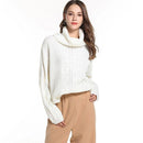 TIY Men Apparel Solid Color Loose Pattern Heap Collar Sweater TIY