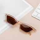 Top quality Fashion Women Glasses Small Frame Cat Eye Sunglasses UV400 Sun Shades Glasses Street Eyewear Female glasses JadeMoghul Inc.