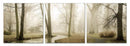 Walls Canvas Wall Art - 24" Multicolor Canvas 3 Panels Photo HomeRoots