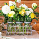 Wedding Favor Stationery Vintage Inspired Mason Jar Set in Wire Holder (Pack of 1) JM Weddings