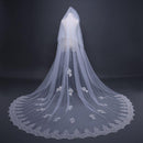 Wedding Reception Accessories Single Layer Large Sweep Length Train Design New Bridal Lace Veil TIY