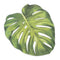 Wedding Table Decorations Tropical Monstera Leaf Die-Cut Paper Placemat Sheets (Pack of 12) JM Weddings