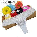 Women all Lace Comfortable Thong Panties In Extended Sizes-1704 white-XL-JadeMoghul Inc.