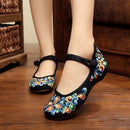 Women Embroidered Sequins Flat Shoes With Ankle Strap Closure-27-7.5-JadeMoghul Inc.