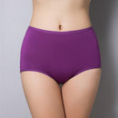 Women High Rise Comfortable And Cool Bamboo Fiber Panties-purple-L-JadeMoghul Inc.