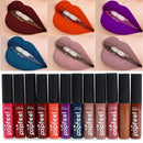 Women Highly Pigmented Waterproof Matte Liquid Lip Cream-1-JadeMoghul Inc.