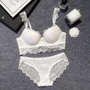 Women Lace Padded Push Up Bra And Lined Lace Seamless Panties Set