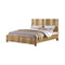 Wooden E.King Bed, Champagne-Platform Beds-Champagne-Pine Wood Bentwood-JadeMoghul Inc.