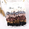 1 Set Scrunchies Hair Ring Candy Color Hair Ties Rope Autumn Winter Women Ponytail Hair Accessories 4-6Pcs Girls Hairbands Gifts AExp