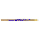 (12 DZ) PENCILS YOU ARE AWESOME-Supplies-JadeMoghul Inc.