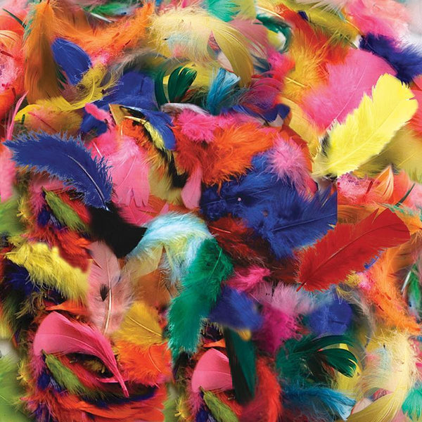 (12 PK) FEATHERS HOT COLORS-Arts & Crafts-JadeMoghul Inc.