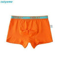 1pc Boys Solid Color Soft Cotton Underwear Boxers-Orange Boys Shorts-2T-JadeMoghul Inc.