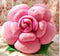 1pcs 25cm small Rose Plush toys, wholesale wedding celebration birthday gift-pink-JadeMoghul Inc.