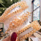 1Set Popular Pearl Hair Clips Fashionable Woman Summer Hair accessories Hairpins BB Clip Styling Tools Barrettes Headwear AExp