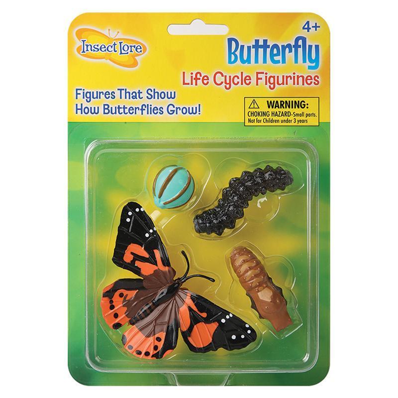 (2 EA) BUTTERFLY LIFE CYCLE STAGES-Toys & Games-JadeMoghul Inc.