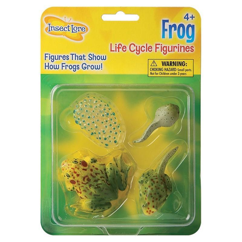 (2 EA) FROG LIFE CYCLE STAGES-Toys & Games-JadeMoghul Inc.