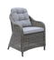 2 Piece Patio Arm Chair In Aluminum Wicker Frame and Cushioned Seating, Gray-Patio Furniture-Gray-Aluminum Frame & Fabric-JadeMoghul Inc.