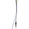 2005 & Up Honda(R) Antenna to Radio Adapter-Wiring Harness & Installation Kits-JadeMoghul Inc.