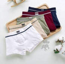 2016 new fashion Brand high quality boys cotton boxer shorts panties kids underwear for 2-16 years old teenager 5 pcs/lot ctnm-5 pieces-2T-JadeMoghul Inc.
