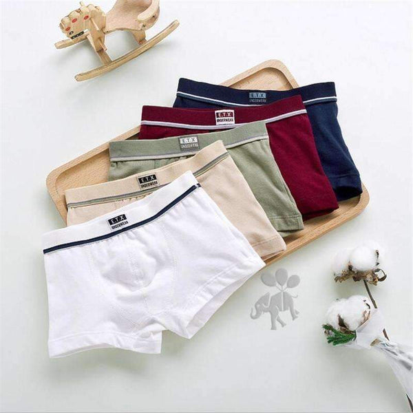 2016 new fashion Brand high quality boys cotton boxer shorts panties kids underwear for 2-16 years old teenager 5 pcs/lot ctnm-5 pieces-2T-JadeMoghul Inc.
