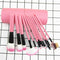 Women Necessity 12pcs Cosmetic Tool Nylon Brushes