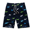 Man's New Arrival Quick Dry Seagull Printed Running Swimming Shorts