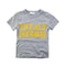 New Arrived Boys Cotton Gray Organic Cotton Embroidery Casual T Shirts Branded Letter Printed T Shirts