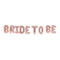 16 Inch Foil Party Decorations Gold Silver Rose Gold BRIDE TO BE Letters Balloons