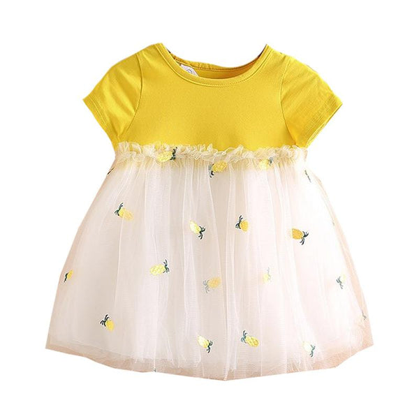 Kids Hot Sale Pretty Lovely Short Sleeves Pineapple Embroidered Gauze Princess Dress