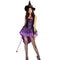 Classic Halloween Witch Mysterious Purple Dress Young Women Cosplay Costume