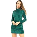 Autumn Winter New Arrival Solid Color Long Sleeves Women Turtle Neck Tight Dress