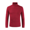 Simple Style Men Cotton Solid Color Turtleneck Long Sleeves Casual Business Knitted Sweater