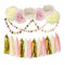 9Pcs Set Pink Tissue Paper Flowers And Tassel Garland Birthday Celebration Party Decorations