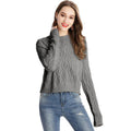 Women Casual Style Short Length Round Neck Pullover Sweater