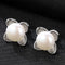 Fashion Classic Flower Design Luxury Sterling Silver Zircon Earrings