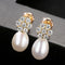 Fashion luxury Zircon Flower Pattern Women Freshwater Pearl Silver Earrings