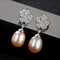 Exquisite Plum Flower Pattern Luxury 3A Zircon Freshwater Pearl Earrings
