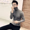 2019 Winter New Men's Turtleneck Sweaters Black Sexy Brand Knitted Pullovers Men Solid Color Casual Male Sweater Autumn Knitwear AExp