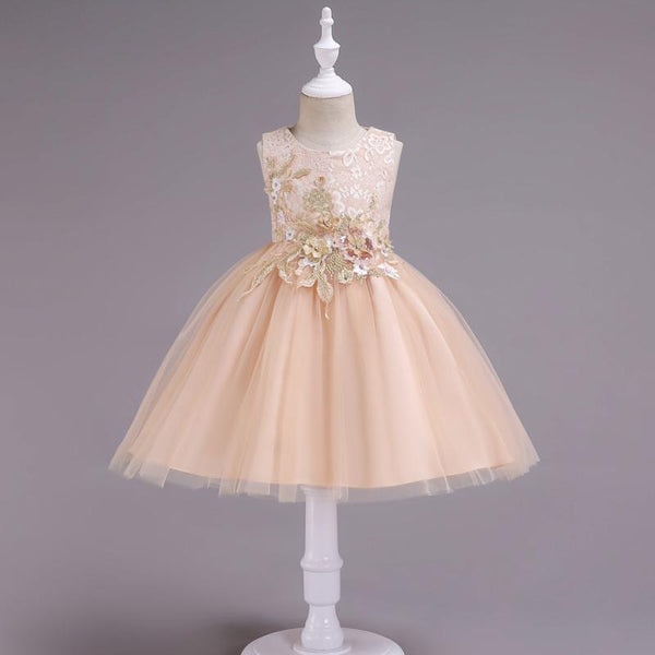 Girls Floral Embroidered Sleeveless Lace Tutu Dress