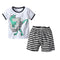 2 Pcs Boys Dinosaur Printed T-shirts And Shorts