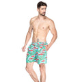 Men Flamingo Printed Quick Drying Beach Shorts