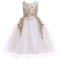Girl Embroidered Hollow Lace Princess Dress
