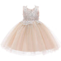 New Arrival Girl Floral Pattern Lace Patchwork Tutu Princess Dress