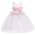 Girl Ruffled Design Slim Fit Meshed Princess Dress