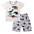 2 Pcs Boys Cartoon Dinosaur Print Tops And Shorts Sleepwear Set