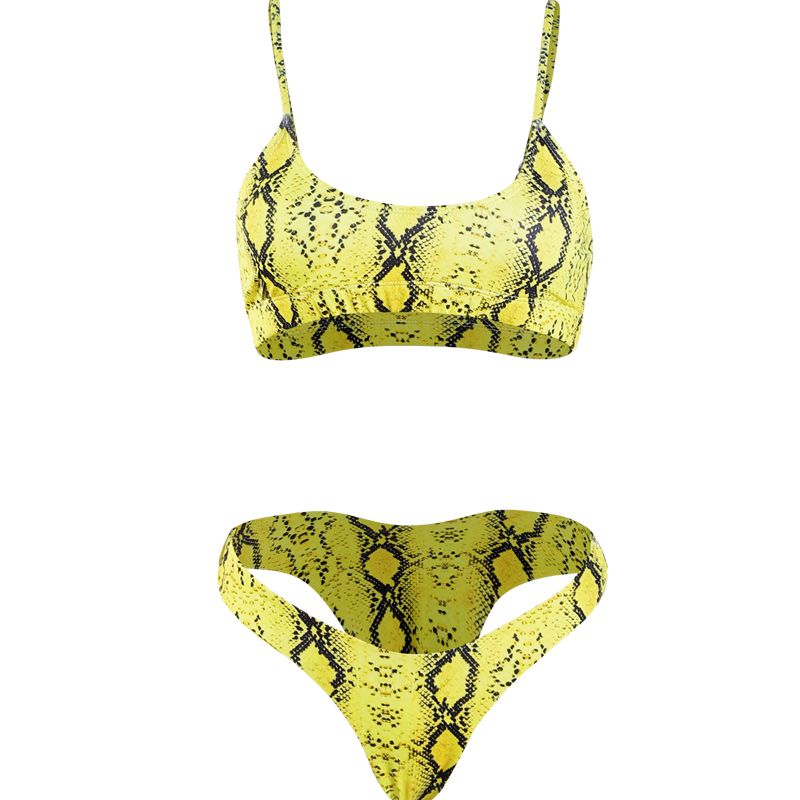 Fashion Sexy Animal Print Two-pieces Swimsuit