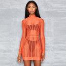 Neon Color Sexy See-through Mesh Long-sleeve Mock Neck Bodycon