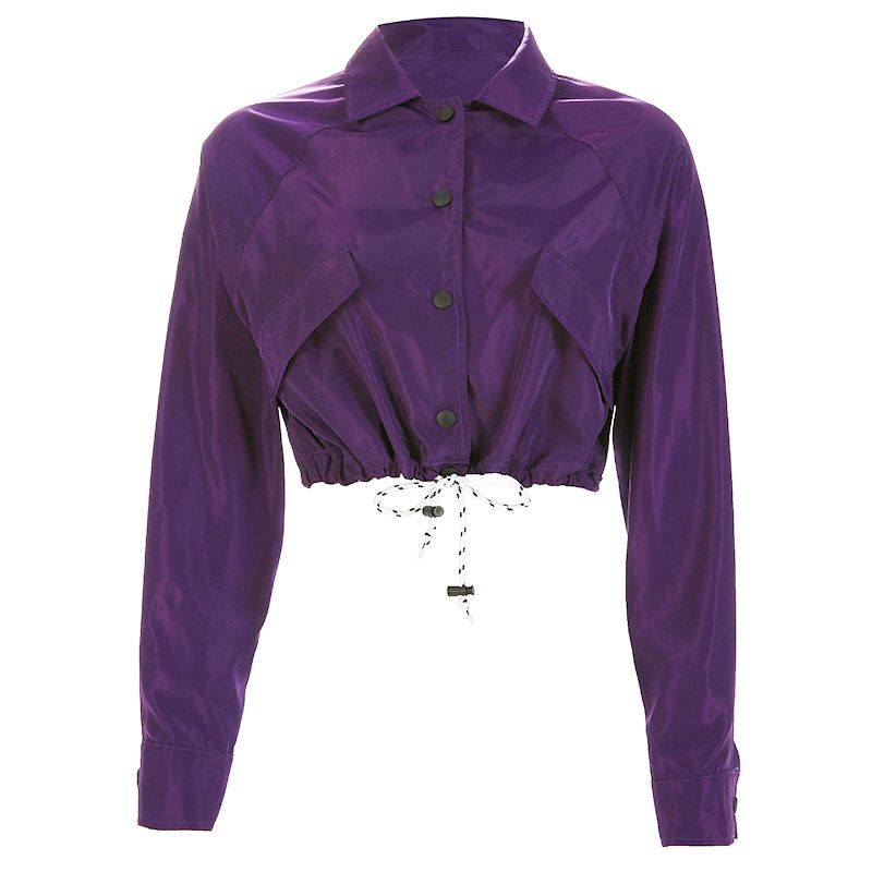 Edgy Style Lapel Long-sleeve Single-breasted Purple Cropped Sweatshirt