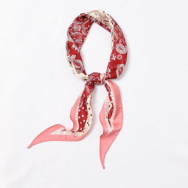Double Color Contrast Design Classic Paisley Print Slim Scarf